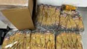 Kokain-Fund: Millionenschmuggel: Zoll findet 130 Kilo Kokain-Kaffee-Mix