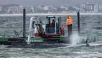 Langwierige Rettungsversuche: Gestrandeter Wal kann sich ein Stück bewegen