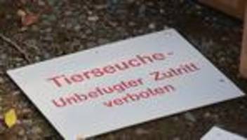 Tierseuche: Newcastle-Krankheit erfasst zunehmend mehr Geflügelställe