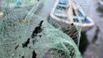 Umwelt: Ölpest in Mexiko: 2.000 Einsatzkräfte bei Reinigungsarbeiten