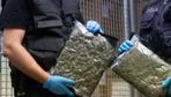 Zoll: Festnahme nach XXL-Cannabis-Fund in Frankfurter Luftfracht