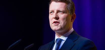 fdp-vorsitz: henning höne will die liberalen wiederbeleben