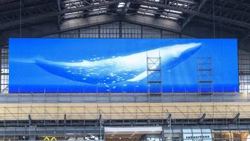 Gestrandeter Wal am Hauptbahnhof Hamburg – ungewöhnliche Werbeaktion