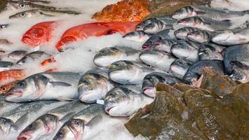 Hepatitis A in Neapel: Virologe warnt – „Es besteht Grund zur Vorsicht“