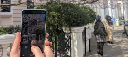 Wenn der Frühling viral geht: Ein Kirschbaum in London lockt Menschenmassen an