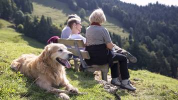 Ältester Hund der Welt gefunden: Forscher jagen seit Jahren den ersten echten Vorfahren