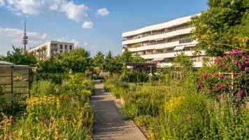 urban foraging: so finden sie essbare wildpflanzen direkt in ihrer stadt