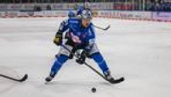 Deutsche Eishockey Liga: Roosters verpflichten Verteidiger Johansson