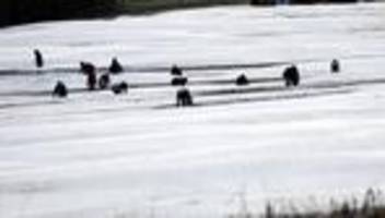 kritik von gewerkschaft: nach wie vor schlechte arbeitsbedingungen für saisonarbeiter