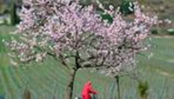 wetter zum ende der woche: wolken und regen in rheinland-pfalz und dem saarland