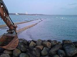 Tier nicht mehr zu sehen: Gestrandeter Buckelwal in der Ostsee könnte frei sein