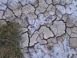 unterschätzte dürre-gefahr: in trockenen böden keimen gefährliche krankheitserreger