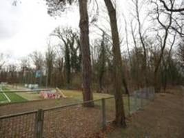 gegen chronischen flächenmangel in potsdam: wo sich die stadt neue sportplätze vorstellen kann