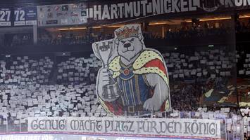 eisbären: die könige der del sind wieder da
