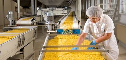 Besuch in einer Nudelfabrik in Riesa: Wie Makkaroni hergestellt werden
