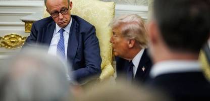 friedrich merz und der iran-krieg: so sprechen, dass selbst donald trump es versteht - kolumne