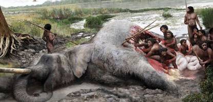 lehringen: neandertaler schlachteten vor 125.000 jahren waldelefanten