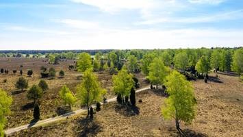 endlich wieder wandern! 3 besondere tipps für die lüneburger heide