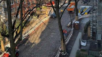 Kopfsteinpflaster in Eimsbüttel überraschend gerettet: Anwohner „sehr glücklich“