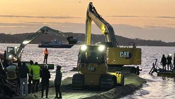 Reporterin schildert Buckelwal-Einsatz: „Dieses Tier hat mein Herz berührt“