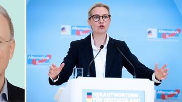 AfD wieder gleichauf mit Union, Grüne drei Punkte stärker