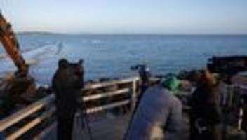 Buckelwal: Suche nach Buckelwal in der Ostsee wird fortgesetzt