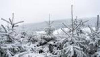 DWD-Prognose.: Frost statt Frühling: So winterlich wird das Wochenende