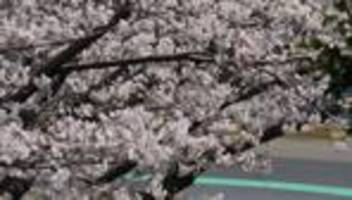 Fotografie: Bilder des Tages