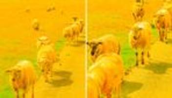 kreis steinburg: steinburg? wie? was? wo?