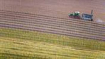 Landwirtschaft: Bauern: Iran-Konflikt macht Lebensmittel teurer