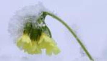 Wetter: Osterferien in Bayern starten mit Regen, Schnee und Glätte