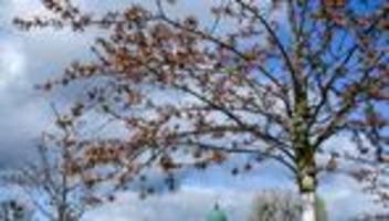 wettervorhersage: erst regen, dann sonne, dann wieder regen