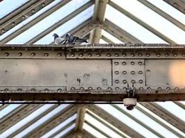 Biometrische Gesichtserkennung: Dobrindt wünscht sich KI-Kameras in deutschen Bahnhöfen