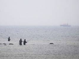 Sichtung bei Wismar?: Polizei sucht nach dem Buckelwal