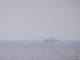 Tier weiter in Küstennähe: Buckelwal in der Wismarer Bucht gesichtet