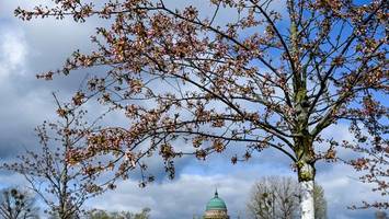 Wetter am Wochenende in Berlin: Erst Regen, dann Sonne, dann wieder Regen