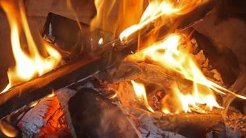 Heizen mit Holz: Worauf Gas-Aussteiger achten müssen