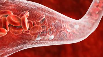 Longevity: Anti-Aging-Wunder Zink schützt vor alternden Gefäßen