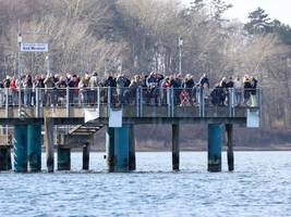 Umwelt: So viel Aufwand für einen Wal? Ja, so viel Aufwand, bitte