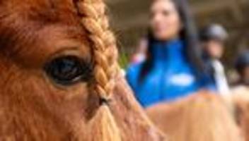 Freizeit: 26.000 Besucher bei Messe Reiten-Jagen-Fischen