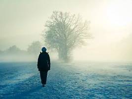 Reich. Privilegiert. Tödlich.: Gefangen im Eisnebel der Daltons