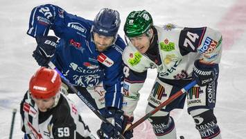 Die Eisbären holen sich in Straubing die Serien-Führung
