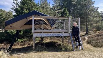 amrum: tiny houses, lodges und coole zelte inmitten von dünen