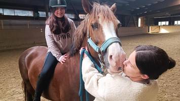 Reitbeteiligungen: Wie man ohne dicken Geldbeutel zum eigenen Pferd kommt