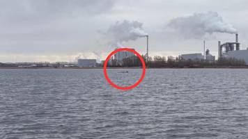 Ostsee-Walrettung von der Wismarbucht im Live-Ticker