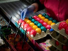 Newcastle Disease und Geflügelpest: Eier in Bayern: „Für Hamsterkäufe gibt es gar keinen Anlass“