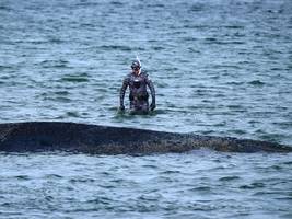 Wal in der Wismarer Bucht: Als stürbe mit ihm eine Welt