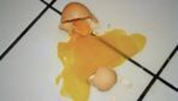 eiermangel zu ostern: legen am limit