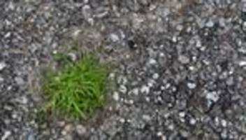 Elbvertiefung: Der tägliche Newsletter aus Hamburg: Mit Pickeln gegen das Grau