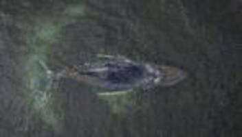 Fotografie: Bilder des Tages